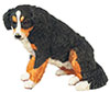 BERNESE MOUNTIAN DOG