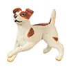 JACK RUSSELL TERRIER