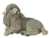 MINIATURE POODLE GRAY