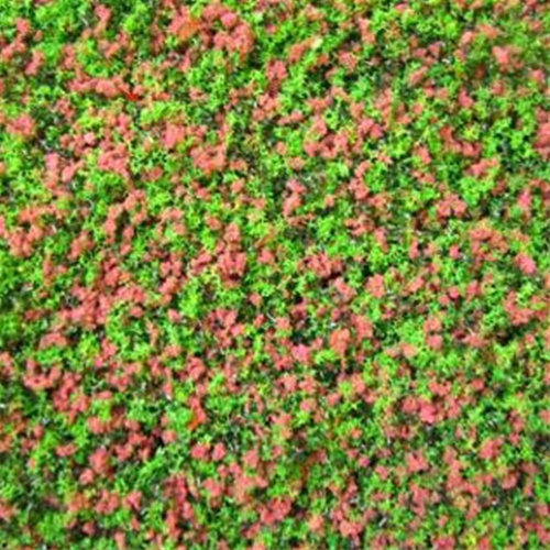 Dollhouse Miniature Garden Growies, Purple