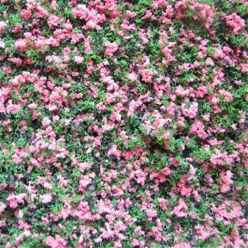 Dollhouse Miniature Garden Growies, Fuchsia