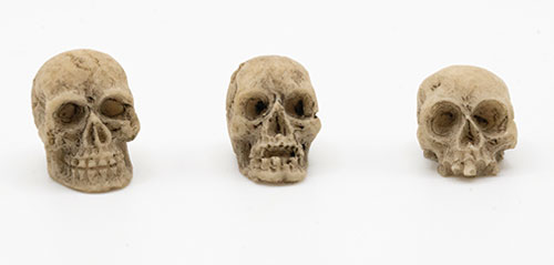 Skull, Assorted, 1 Piece