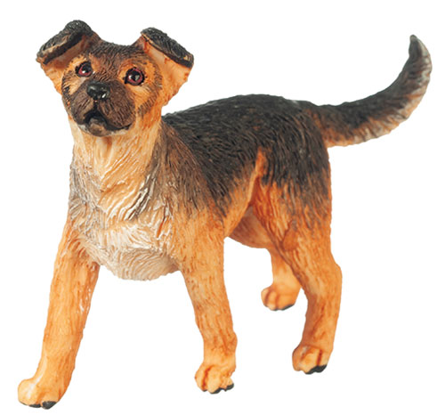 MIXED BREED SHEPHERD