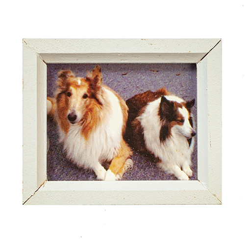 Framed Print, Two Dogs