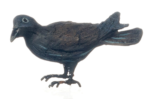 American Crow