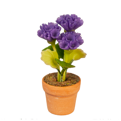 Purple Flowers In Pot