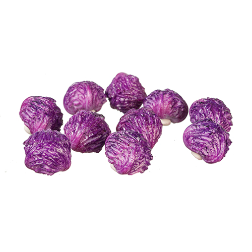 Purple Cabbage/10