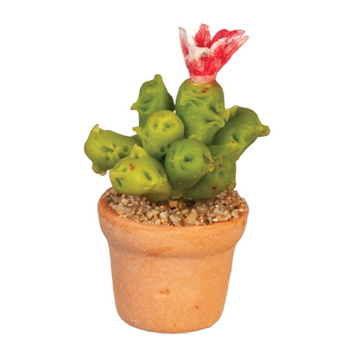 Cactus Plant