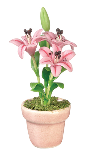 Lilies in Pot, Pink