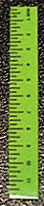 Dollhouse Miniature Ruler-Green, Set of 6