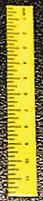 Dollhouse Miniature Ruler-Yellow, Set of 6