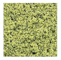 Dollhouse Miniature Fine Foliage/Turf Pale Green